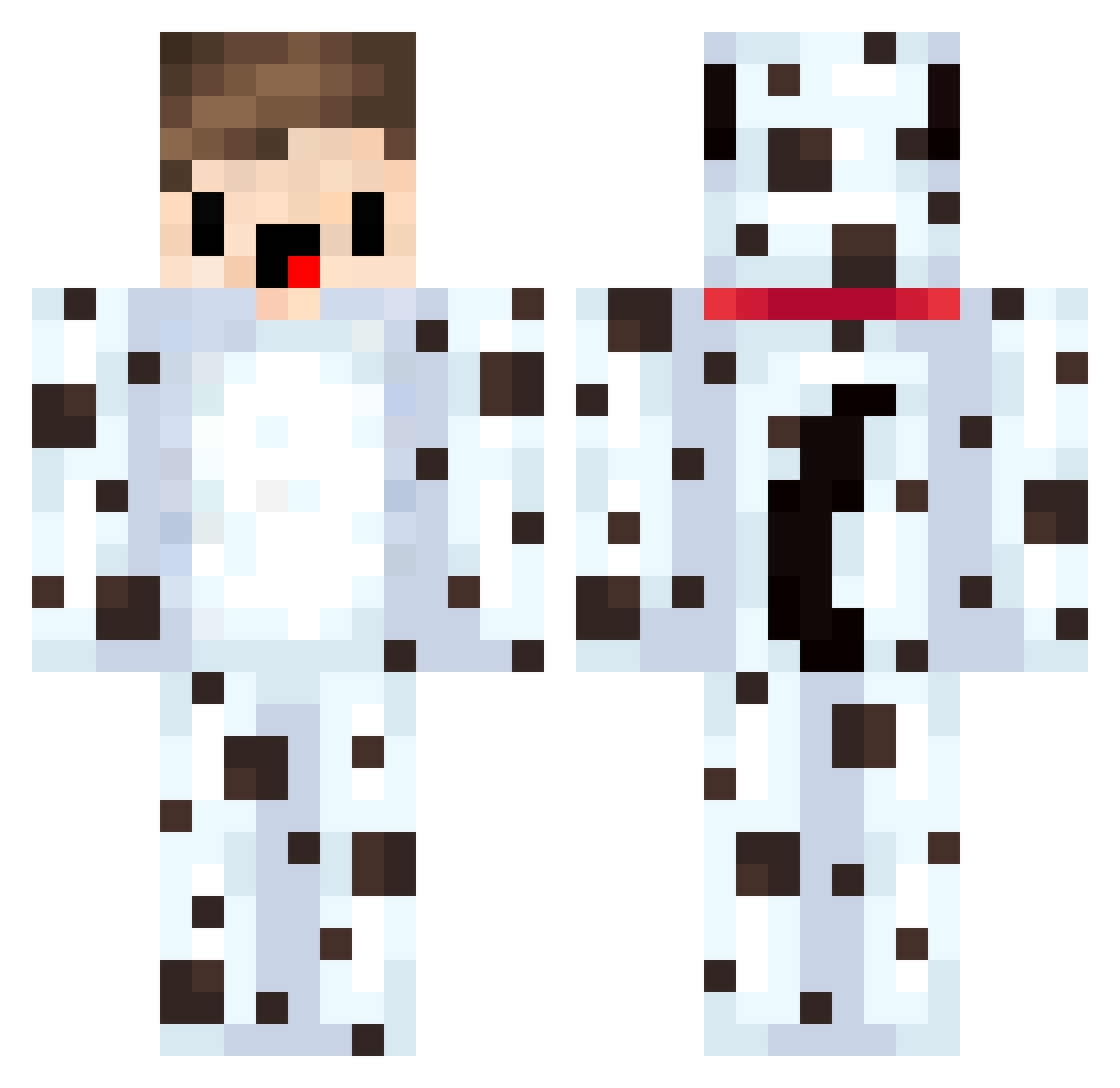 Discriminator Minecraft skin, front and back view