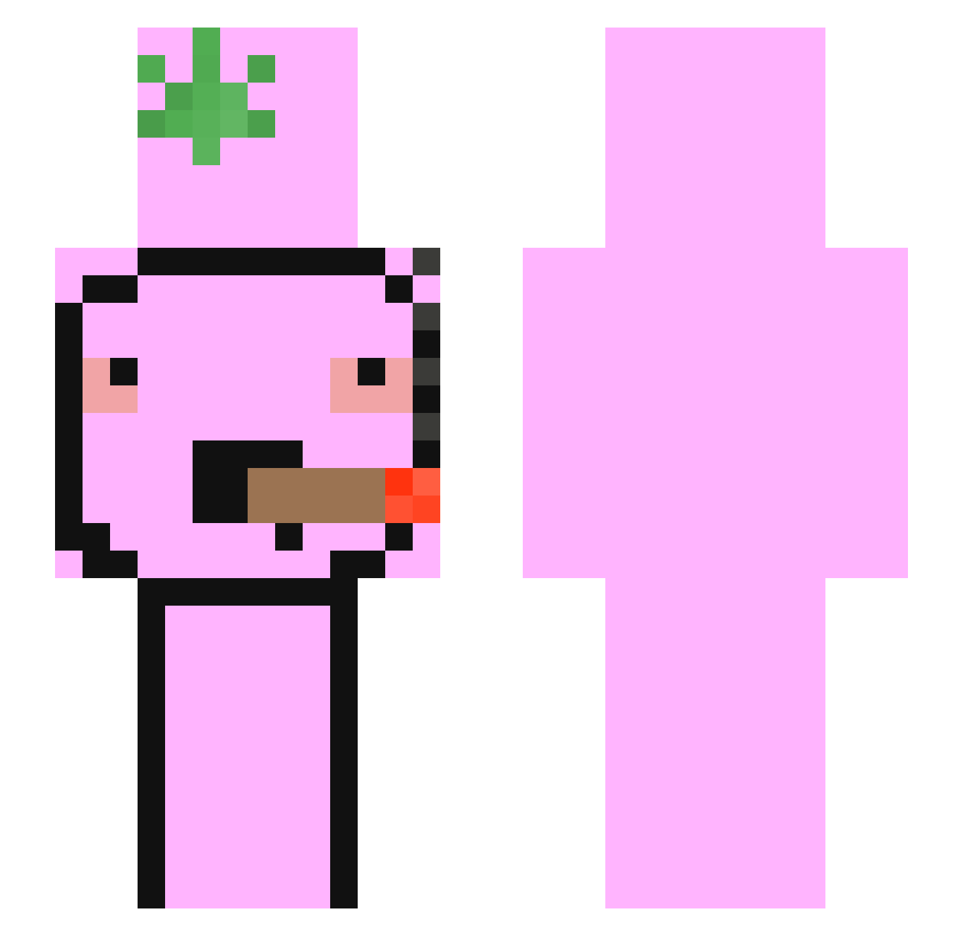 Resounded Minecraft skin, front and back view