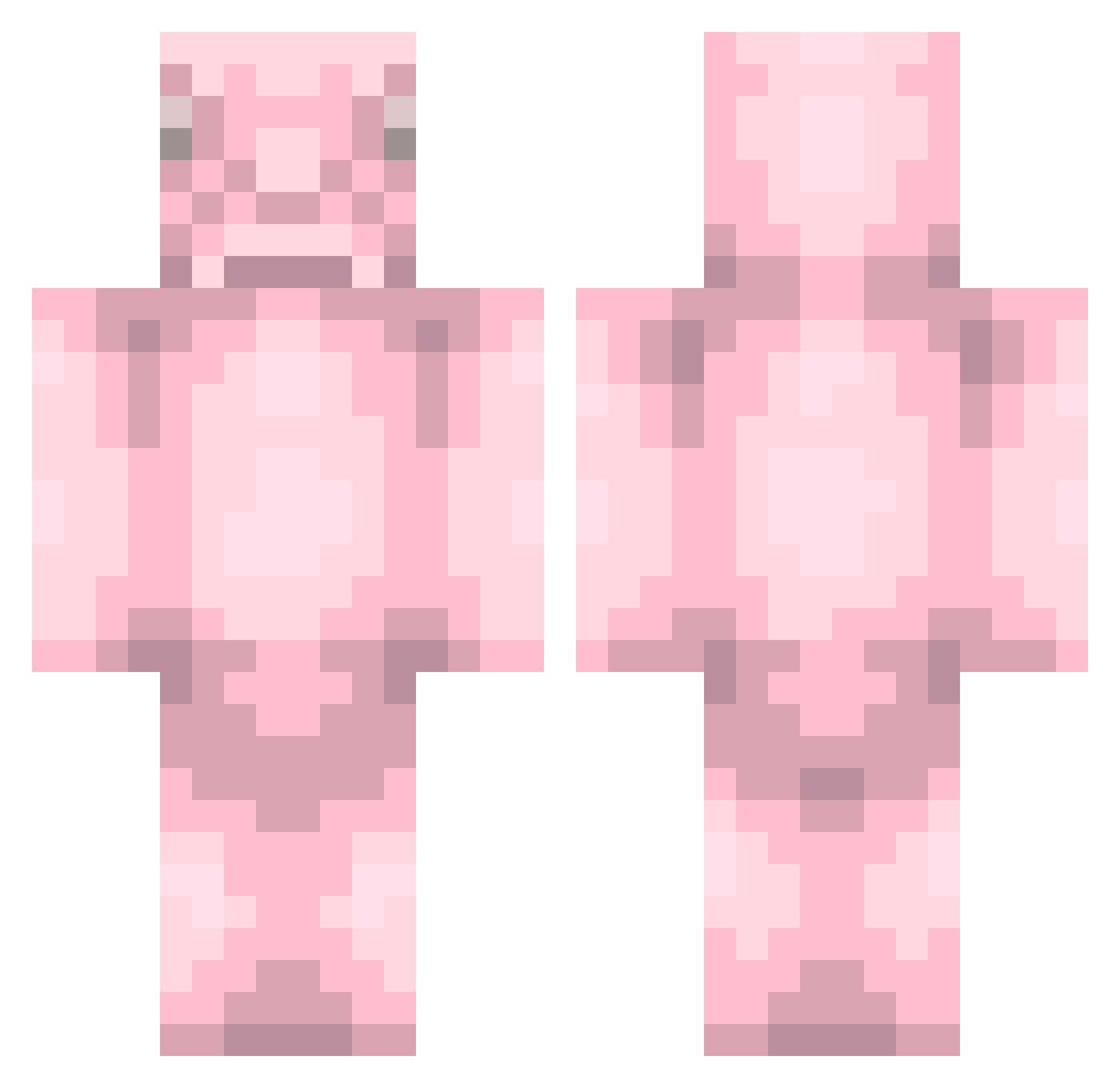 Sushi54365 Minecraft skin, front and back view