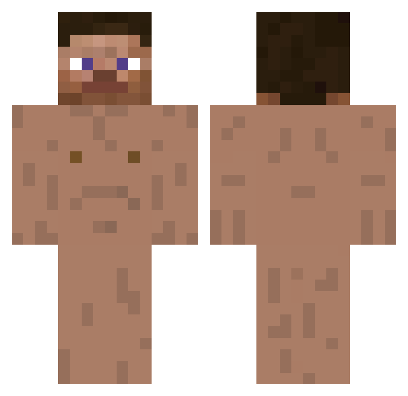 windleo Minecraft skin, front and back view