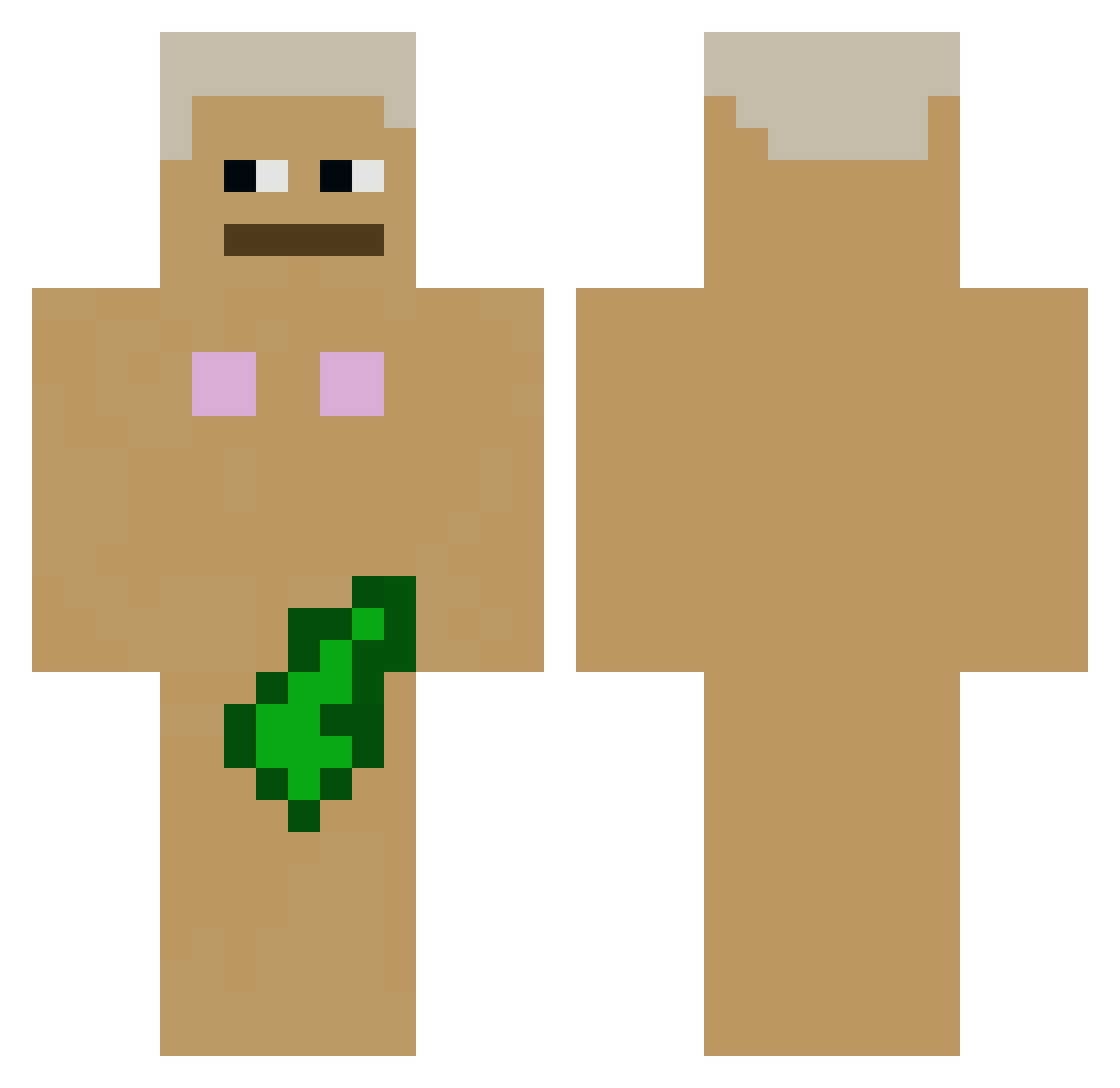 Tiinus Minecraft skin, front and back view
