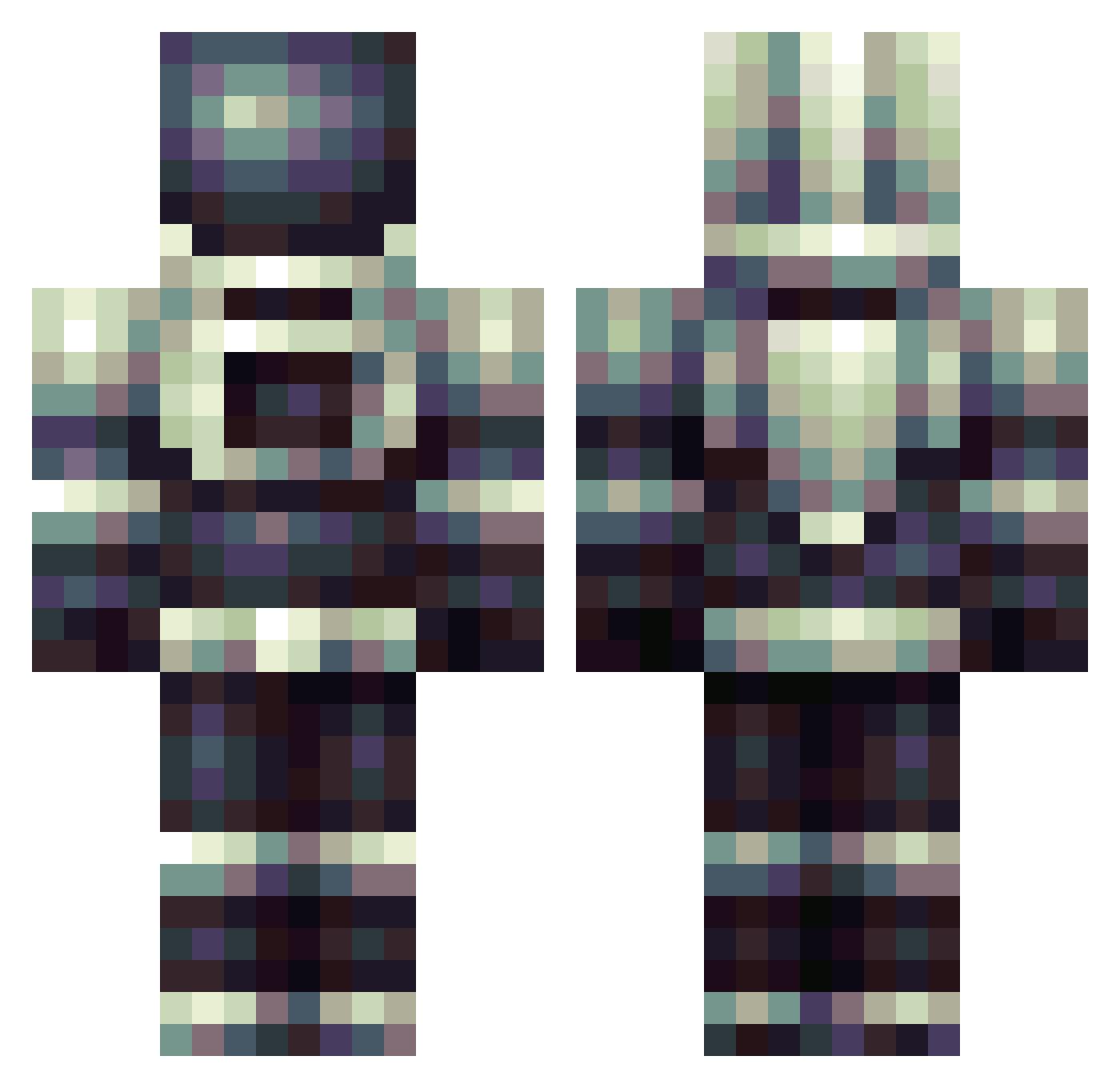bizzaregoose45 Minecraft skin, front and back view