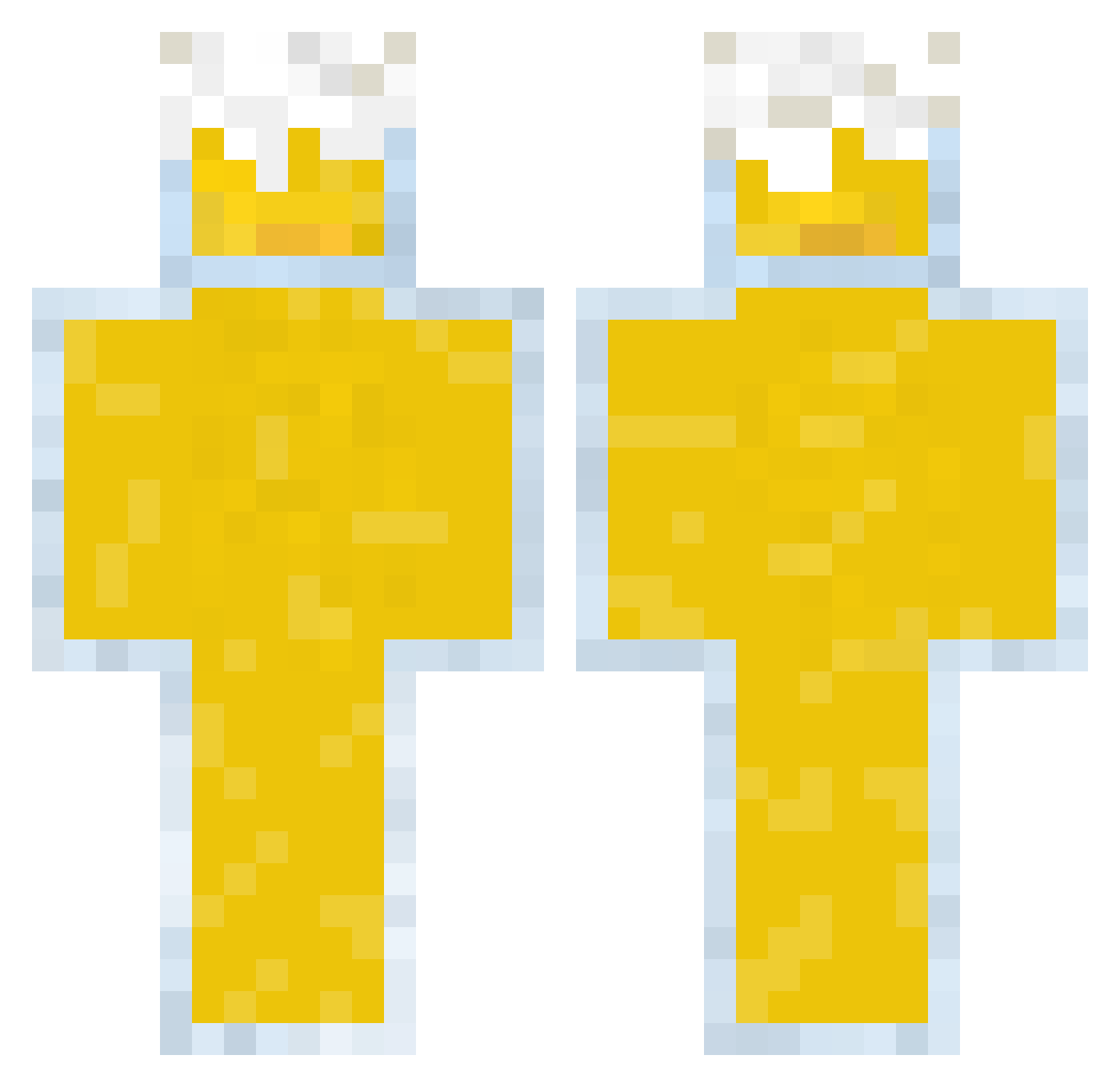 20f Minecraft skin, front and back view