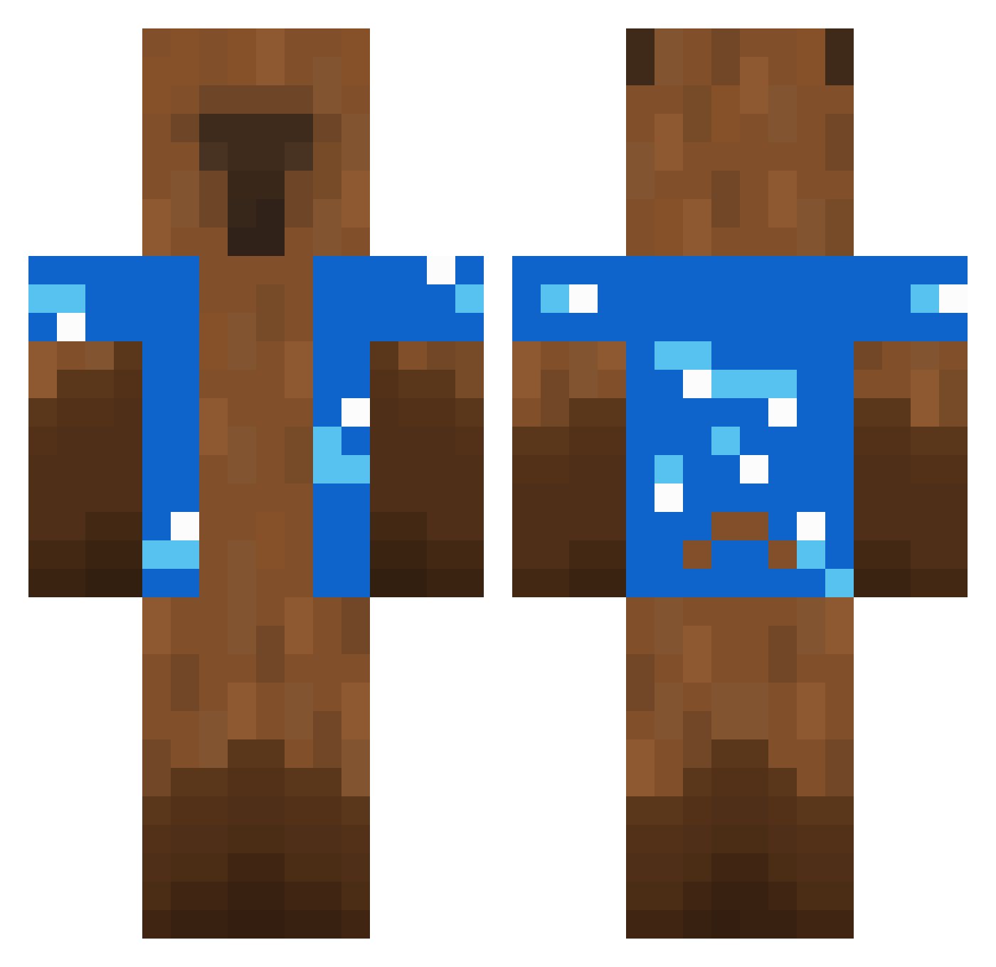 DankyLol Minecraft skin, front and back view