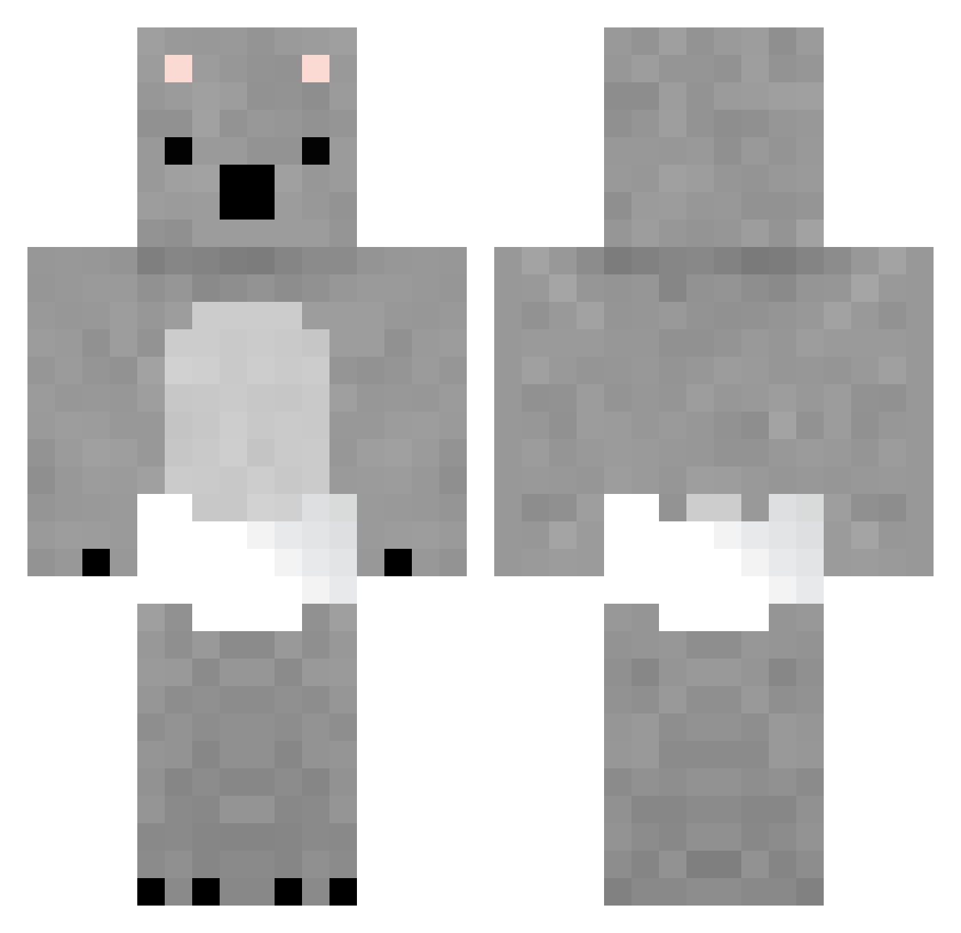 _TAR Minecraft skin, front and back view