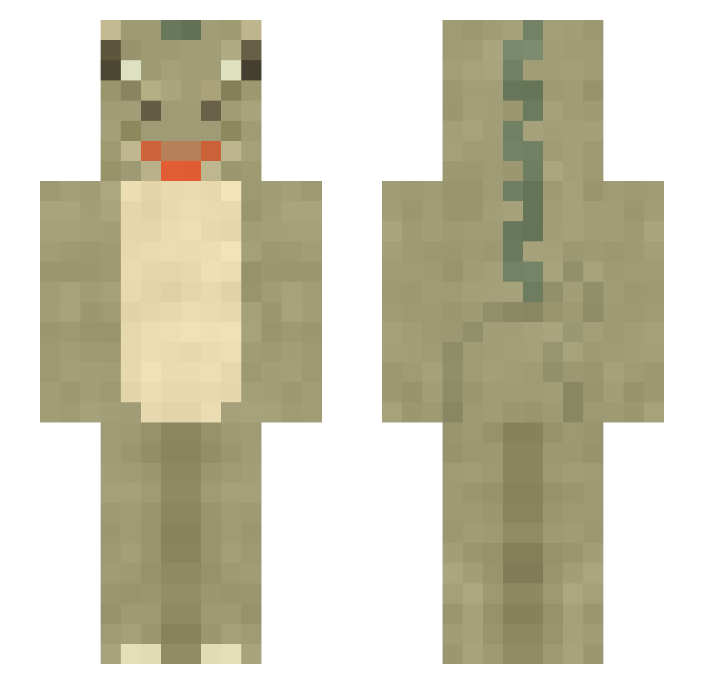 onym Minecraft skin, front and back view