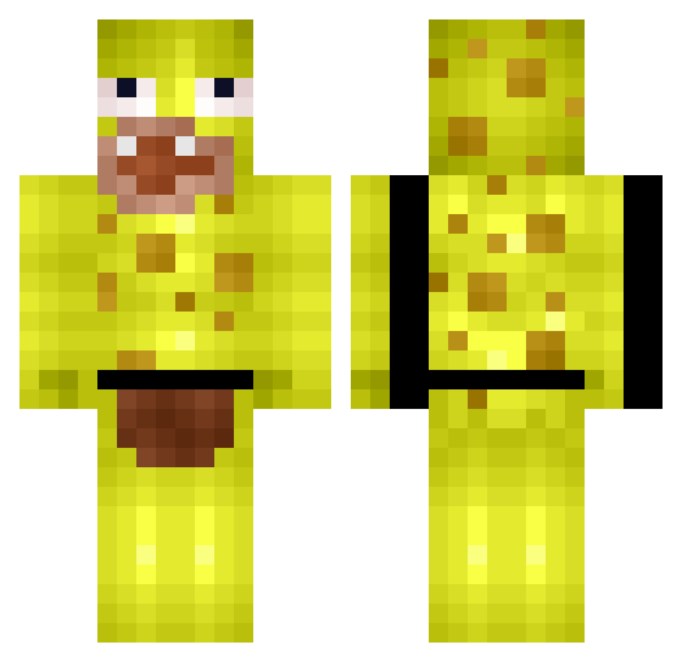 Popopirat101 Minecraft skin, front and back view