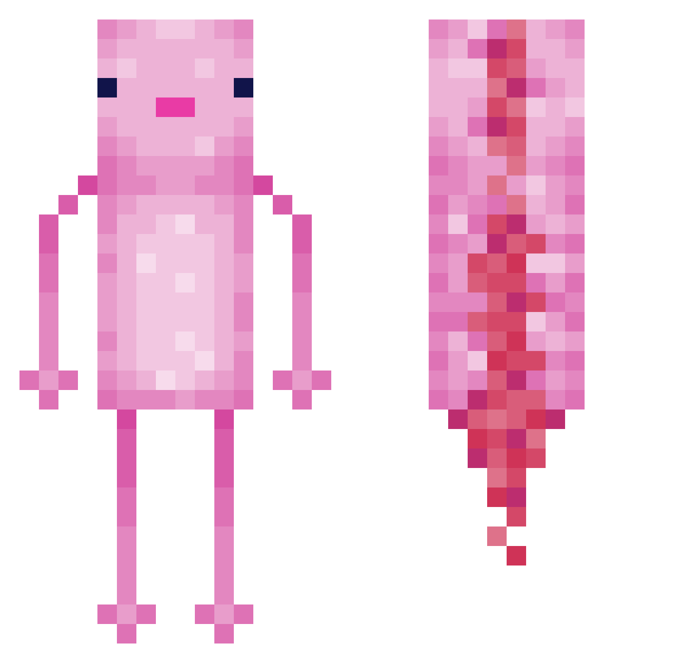 pedrin_11 Minecraft skin, front and back view