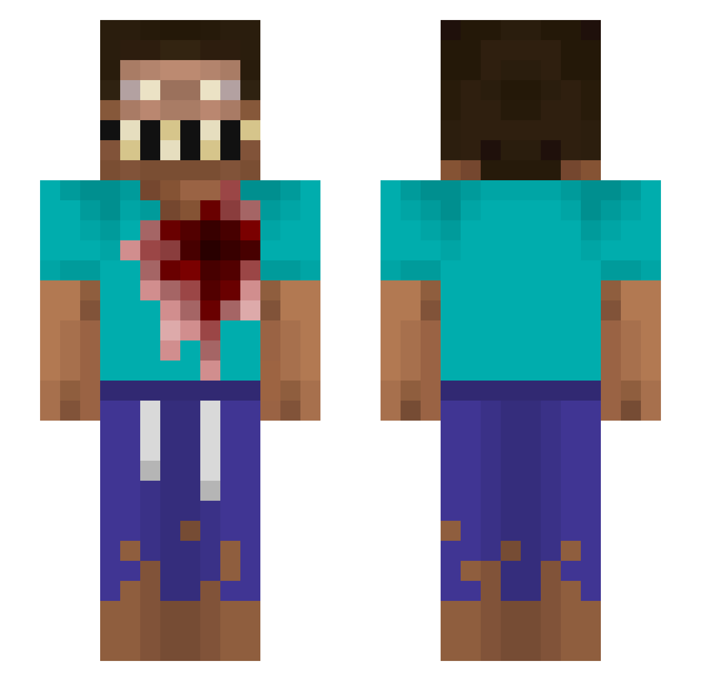 Swinzee Minecraft skin, front and back view