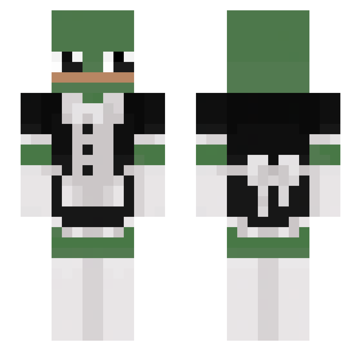 Senior_FROG_ Minecraft skin, front and back view