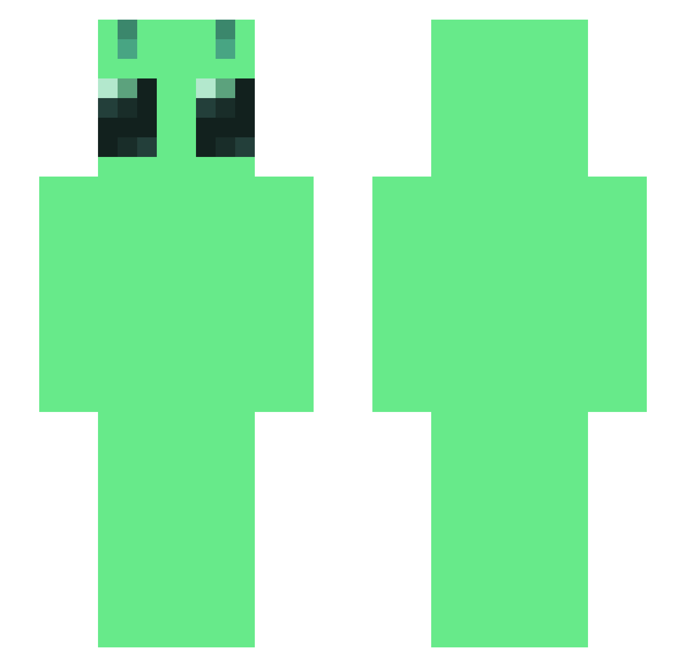 vmpss Minecraft skin, front and back view