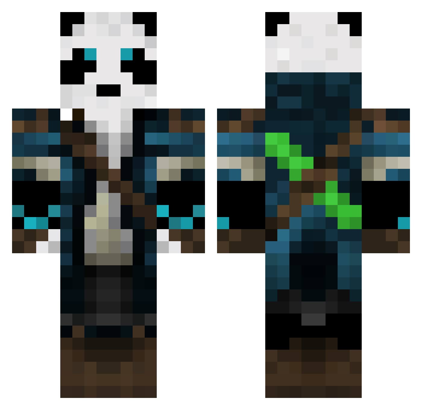 ThePandaMaster23 Minecraft skin, front and back view