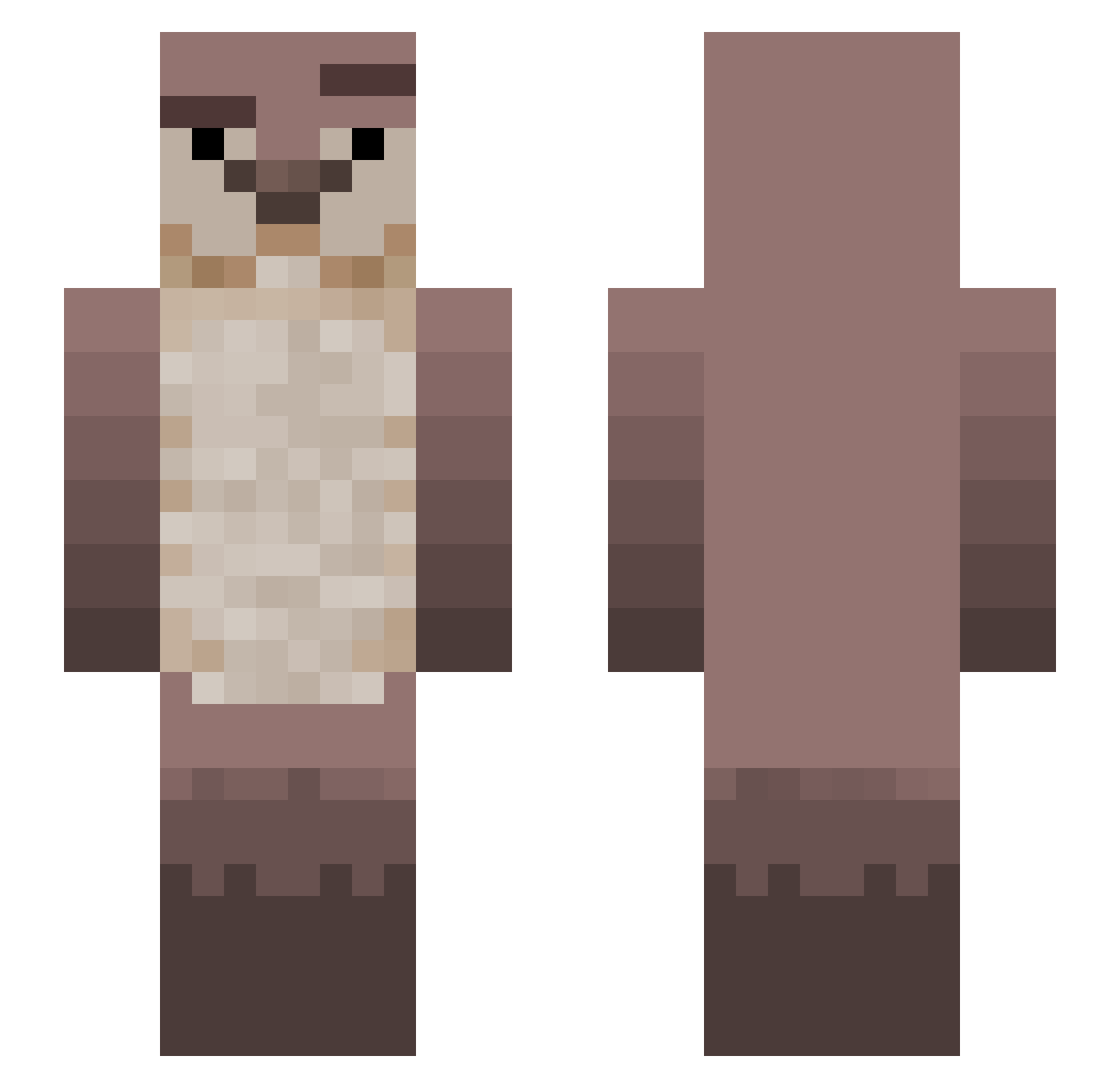 Gapok Minecraft skin, front and back view