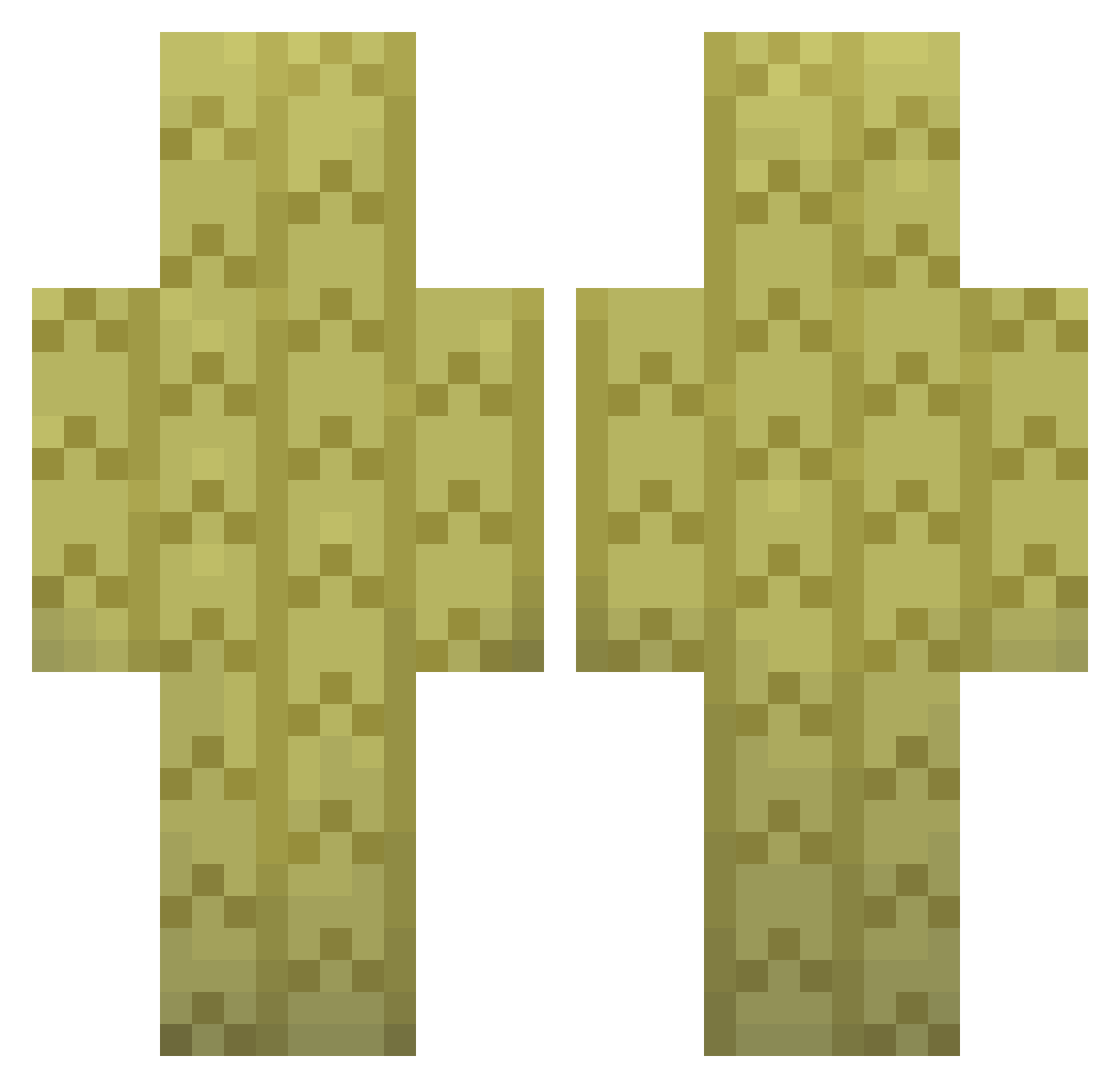 fhhjvf Minecraft skin, front and back view
