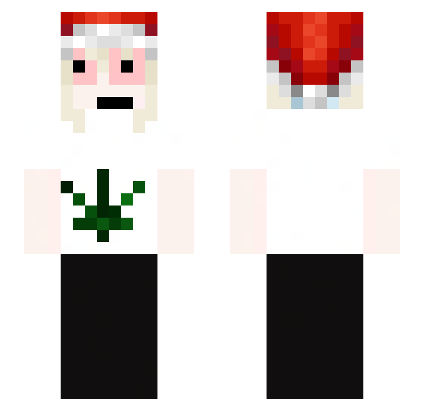 Niewels Minecraft skin, front and back view