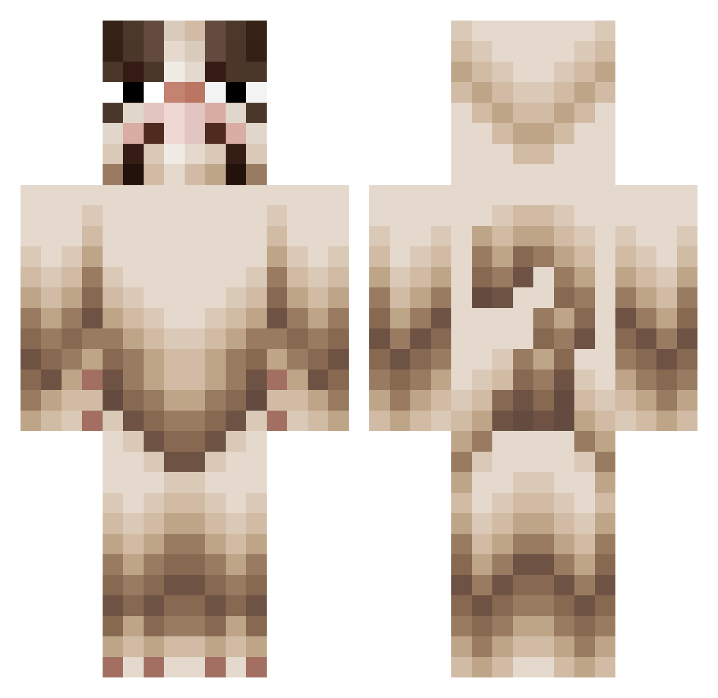 AngryGato Minecraft skin, front and back view