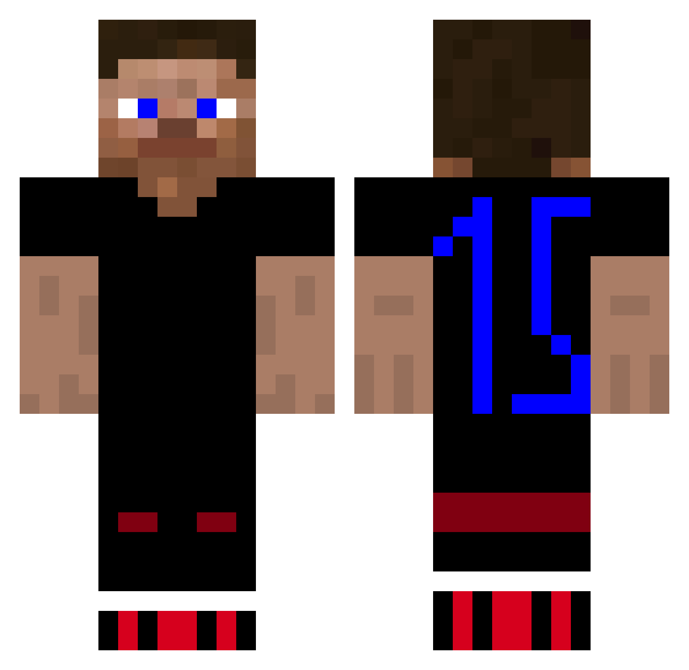 DonaldDuck1511 Minecraft skin, front and back view