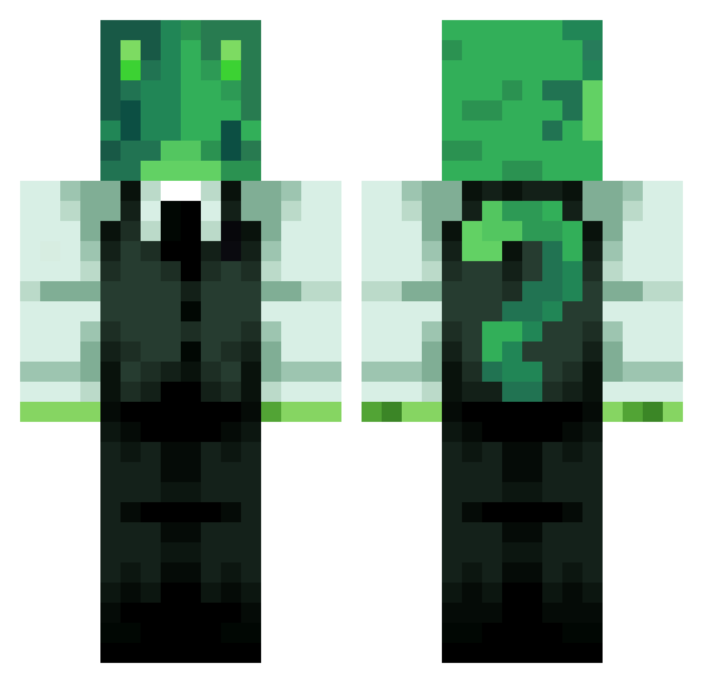 Sacha_ravageur Minecraft skin, front and back view