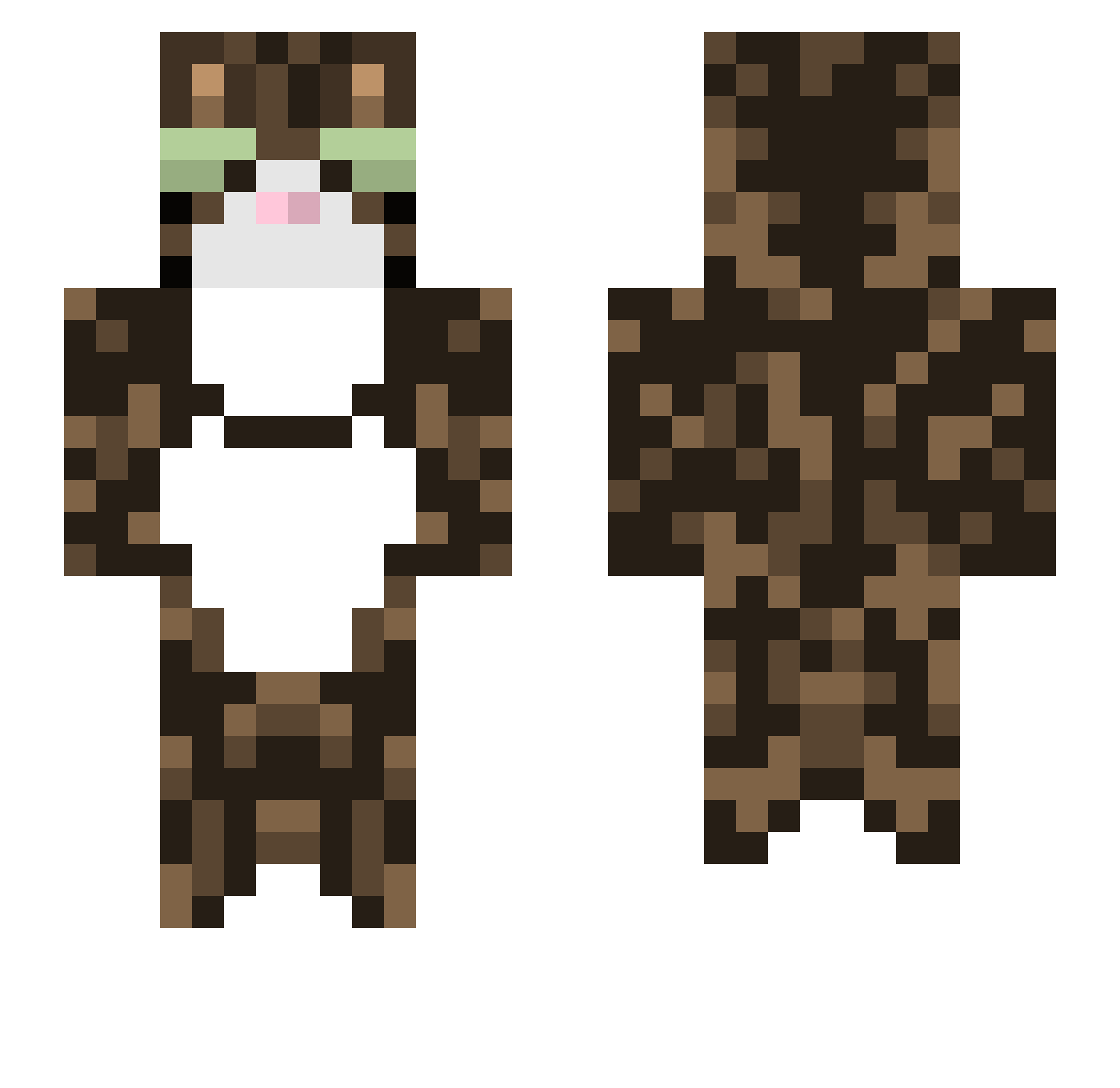 Torch2007 Minecraft skin, front and back view