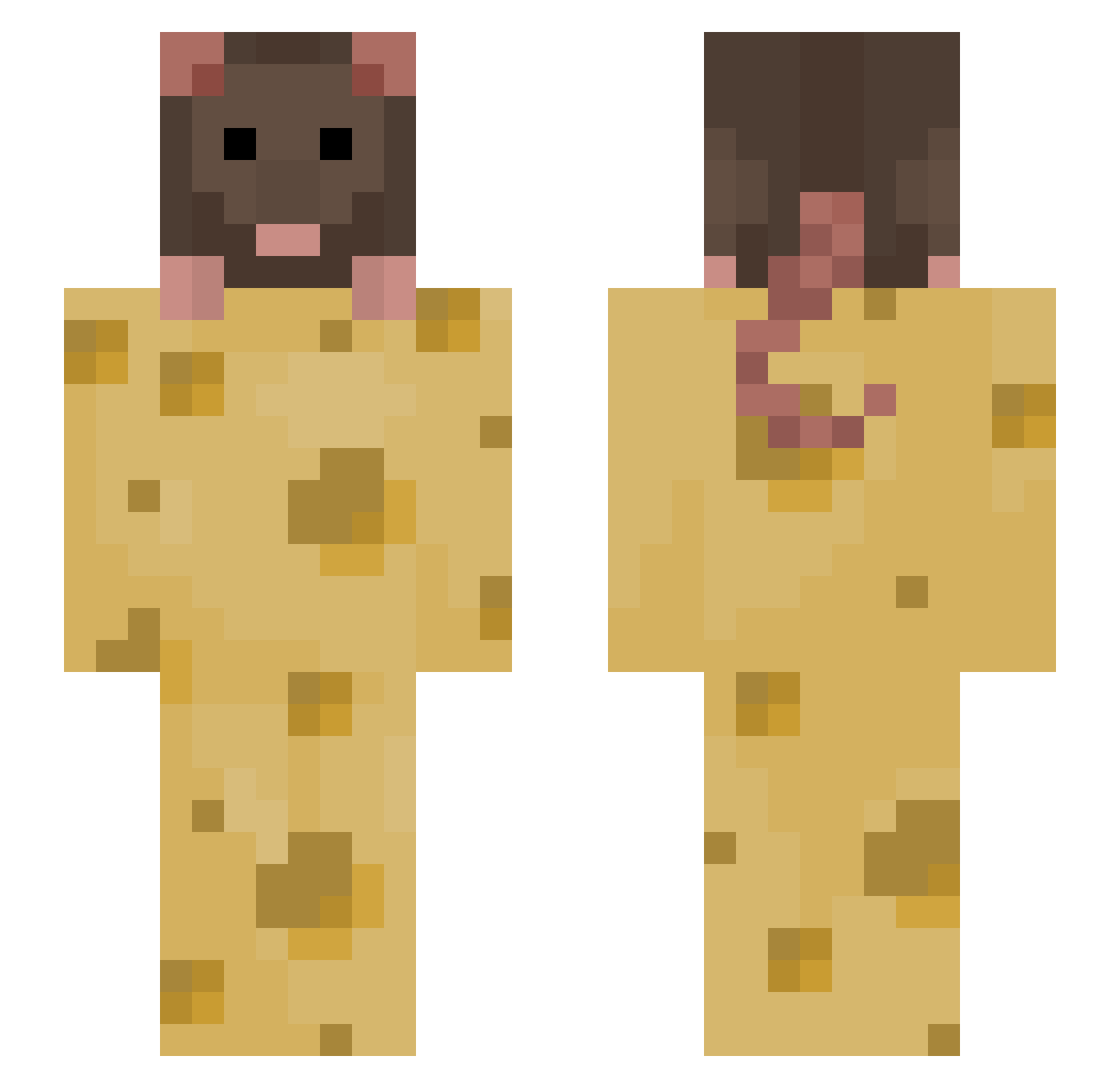 Justice4Ratz Minecraft skin, front and back view