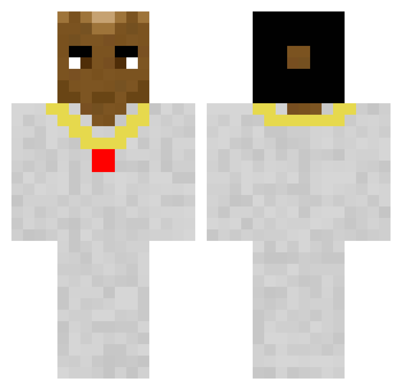 chromo_363 Minecraft skin, front and back view