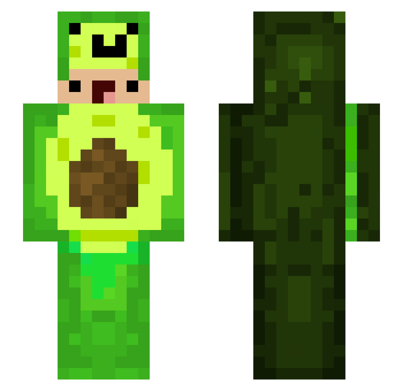 hauki Minecraft skin, front and back view