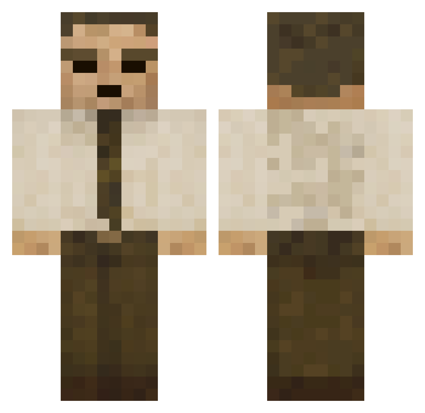 ptzt Minecraft skin, front and back view