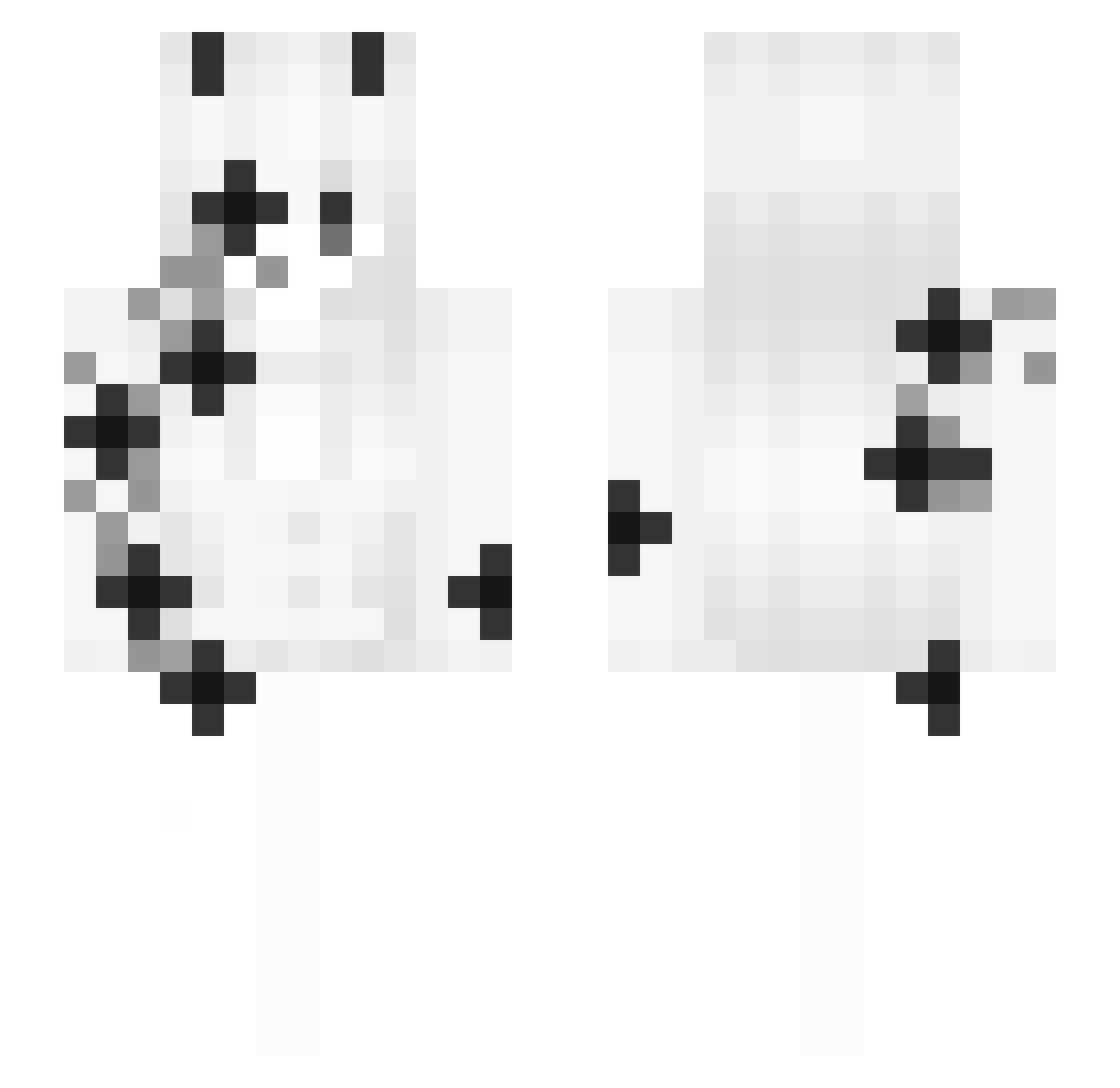 Ceeruleann Minecraft skin, front and back view