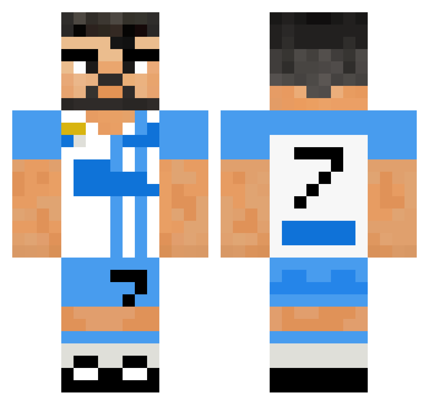 Hectoor_ Minecraft skin, front and back view