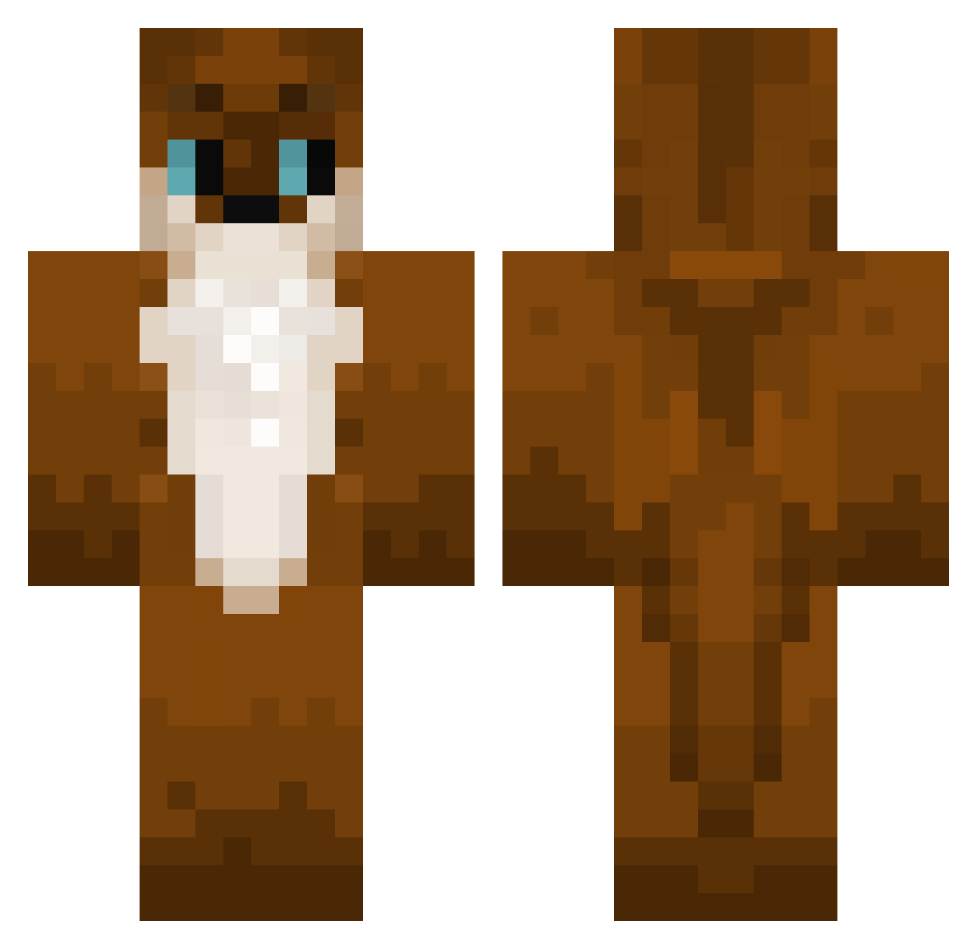 AgentJK4711 Minecraft skin, front and back view