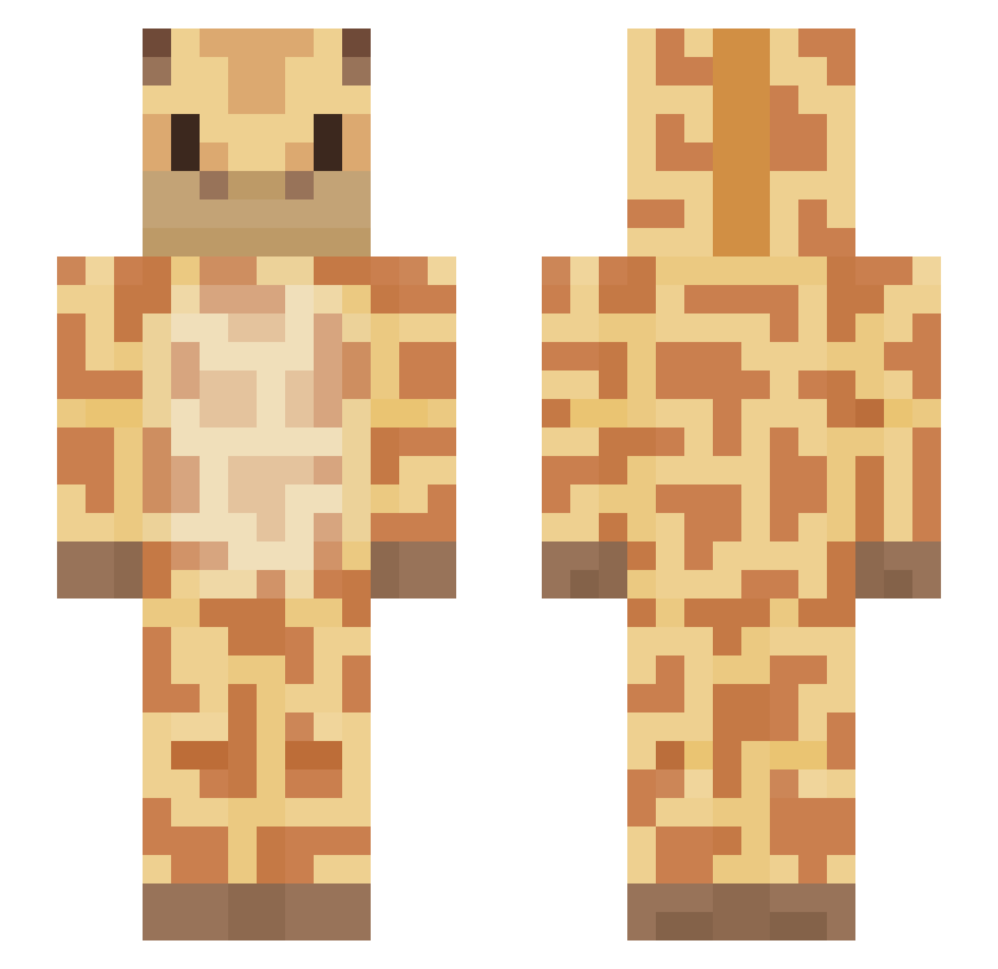 DishW0ter Minecraft skin, front and back view