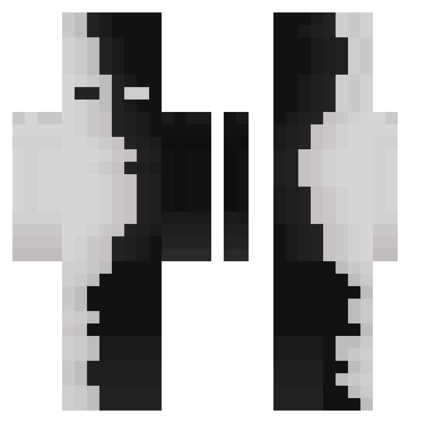 dualreel Minecraft skin, front and back view