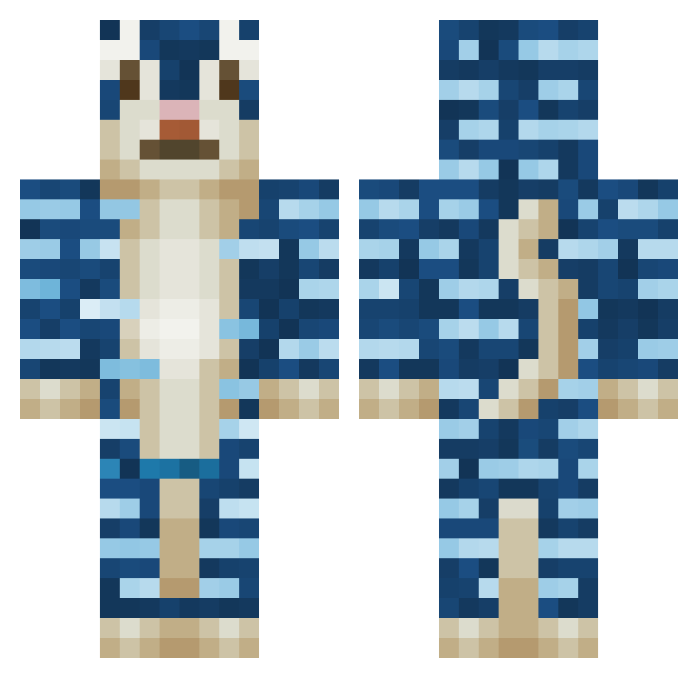 Thundecats13 Minecraft skin, front and back view