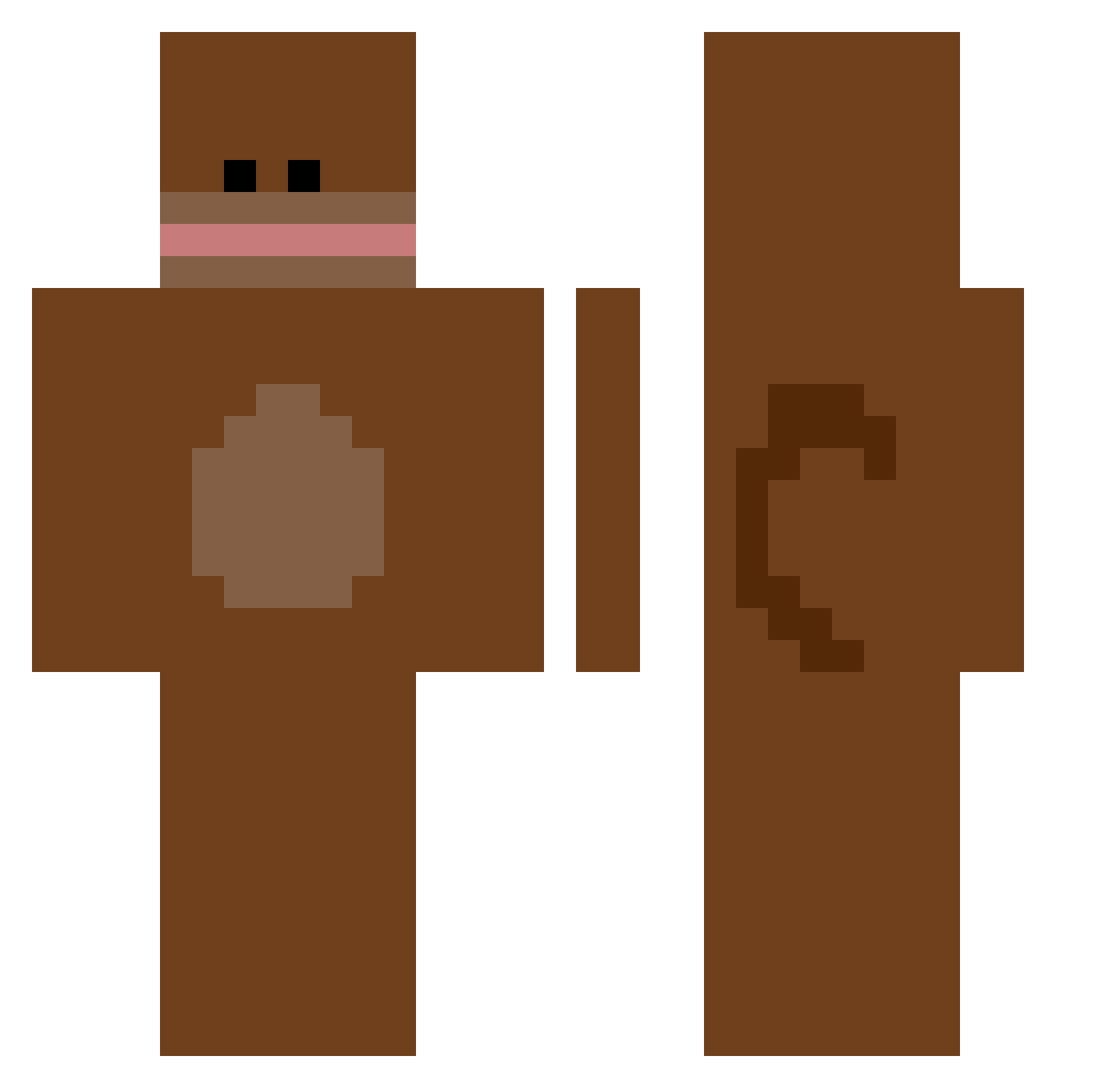 pleepleeman Minecraft skin, front and back view