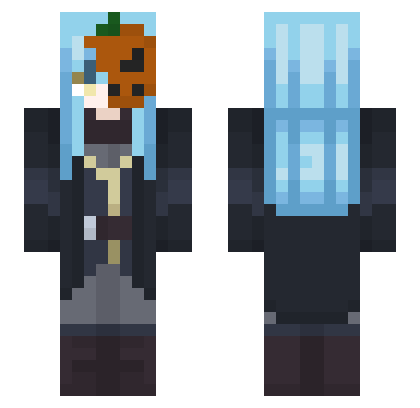biomsa Minecraft skin, front and back view