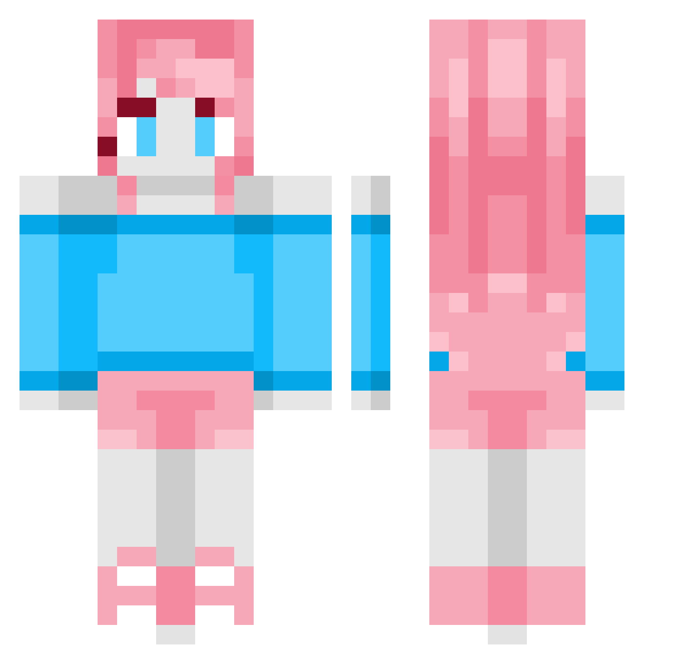 Ziprr Minecraft skin, front and back view