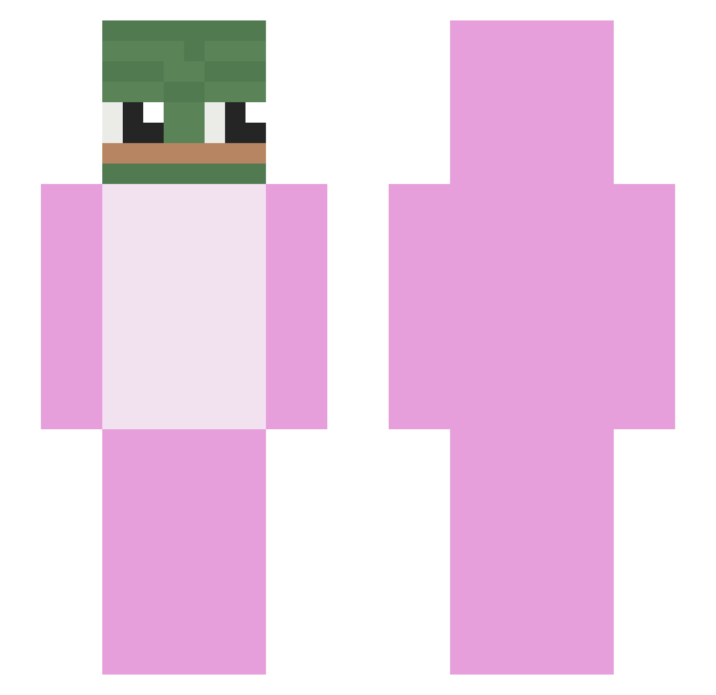 sollzify Minecraft skin, front and back view
