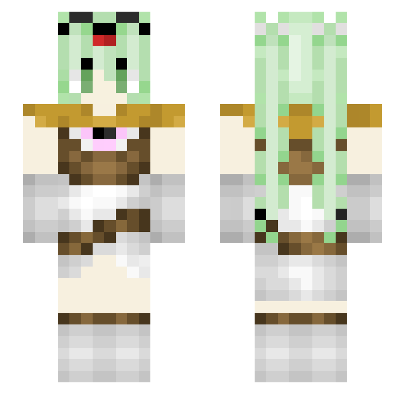 Dont____ Minecraft skin, front and back view