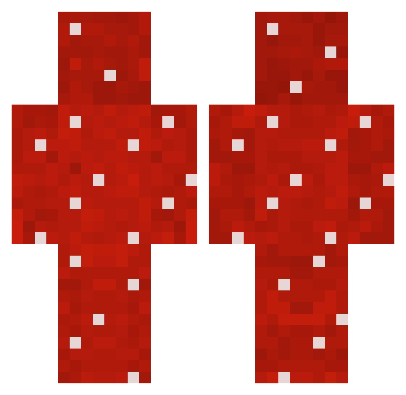 Tyzxd Minecraft skin, front and back view