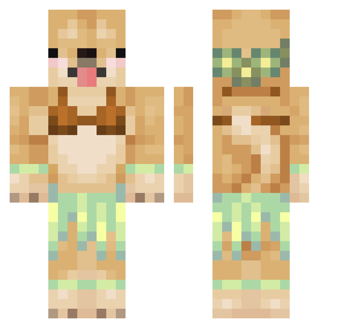 Stegny Minecraft skin, front and back view