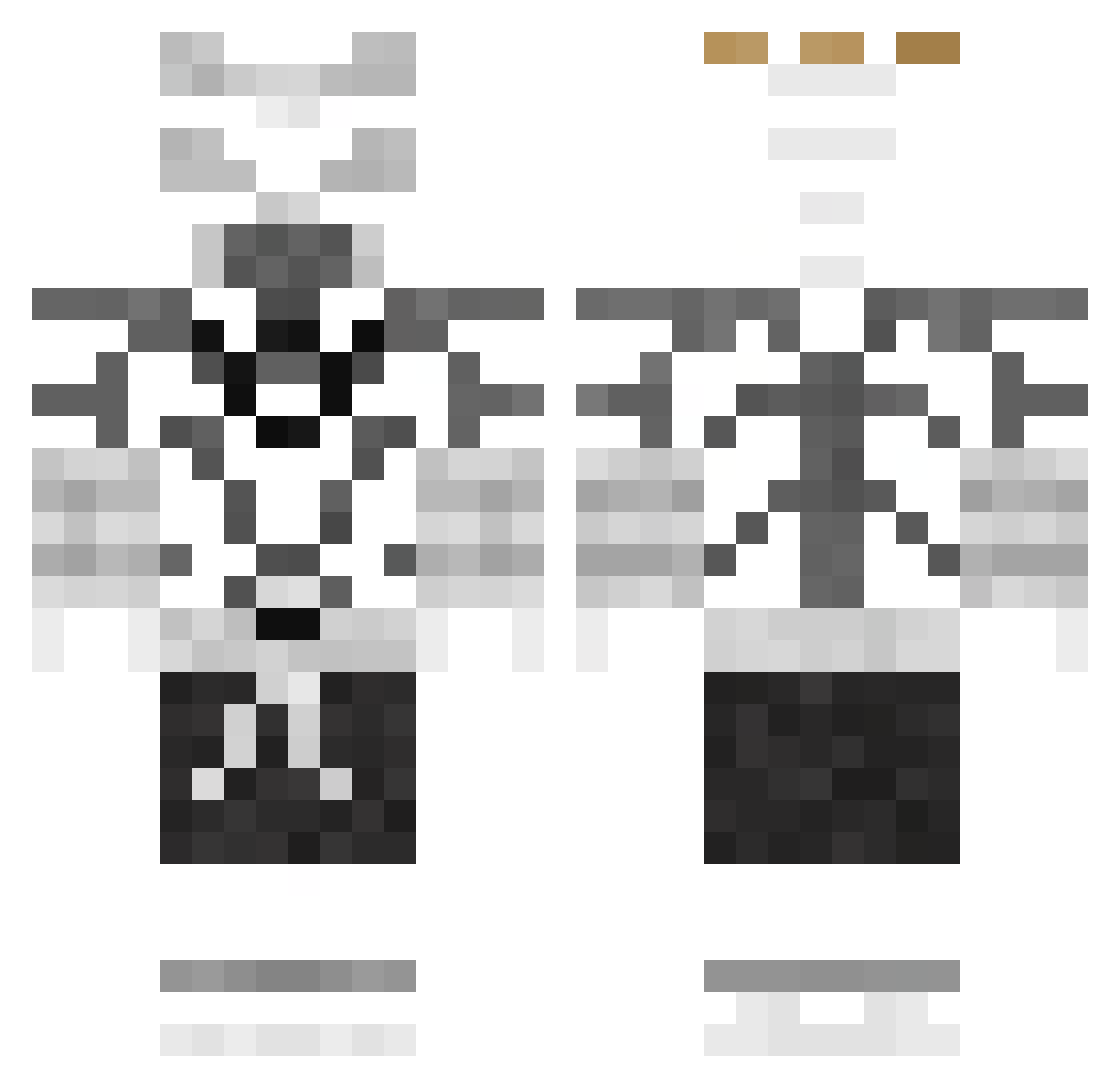 Mini1616 Minecraft skin, front and back view