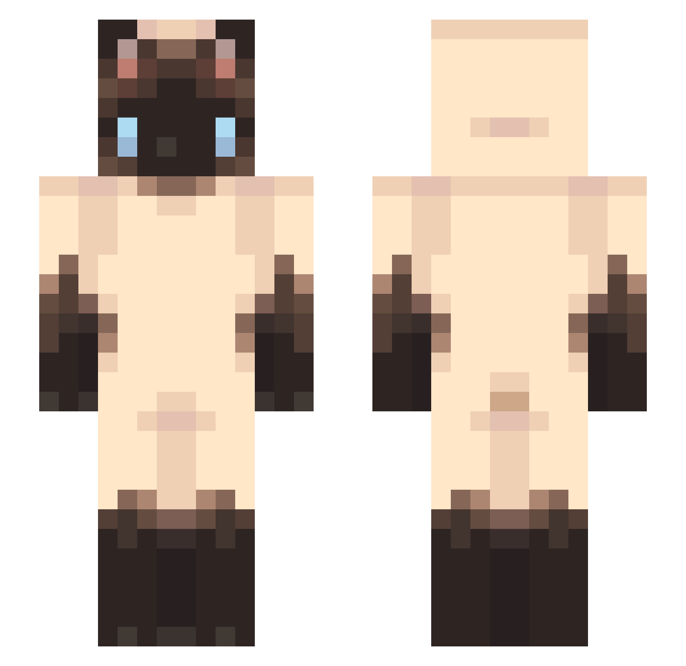 idiotical Minecraft skin, front and back view