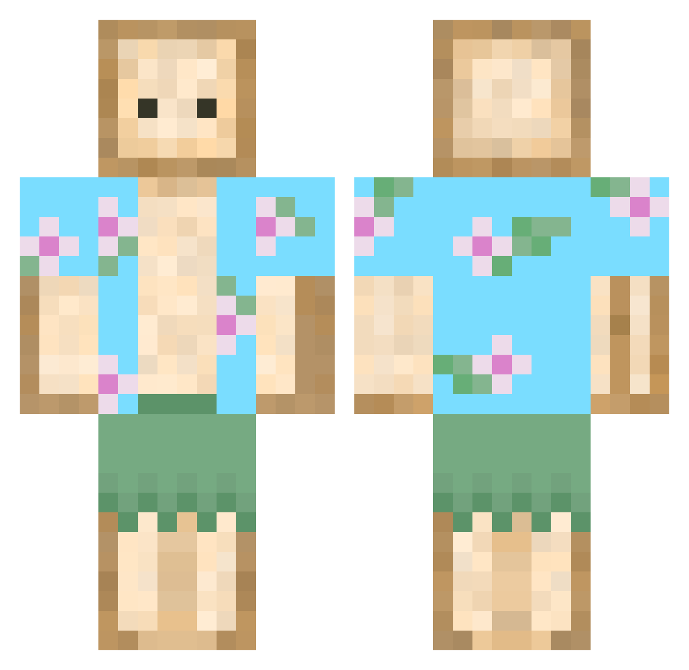 TickleSandwich Minecraft skin, front and back view