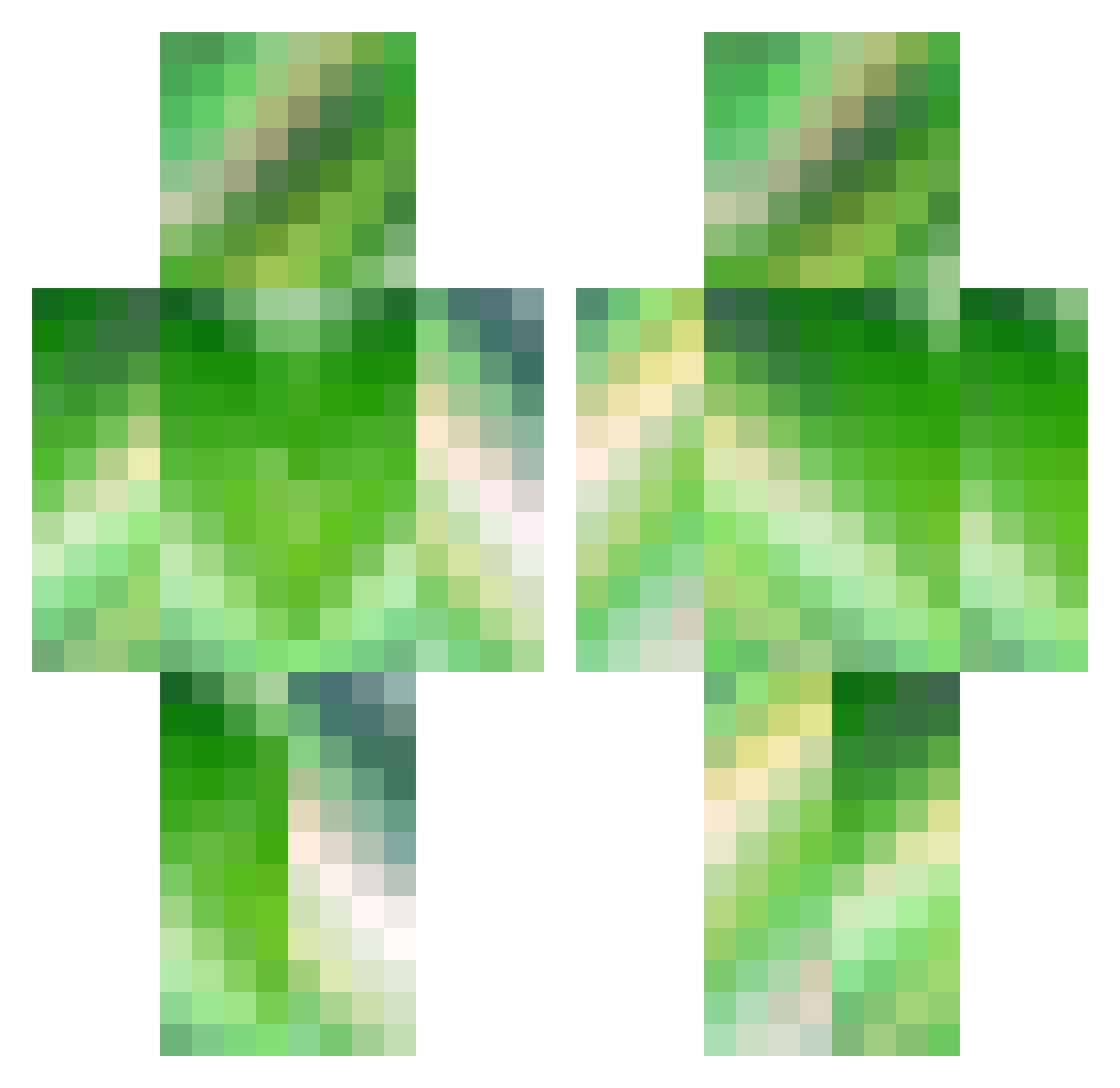cocosnack76 Minecraft skin, front and back view
