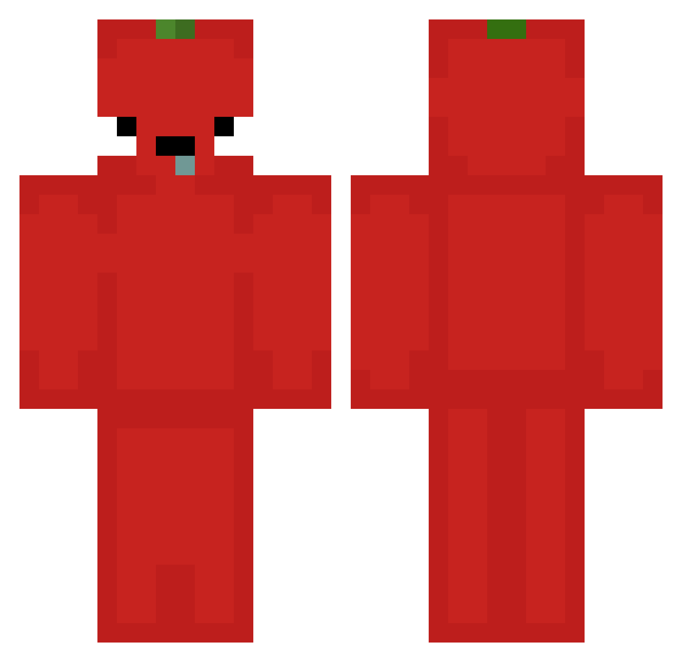 WetMonkey Minecraft skin, front and back view