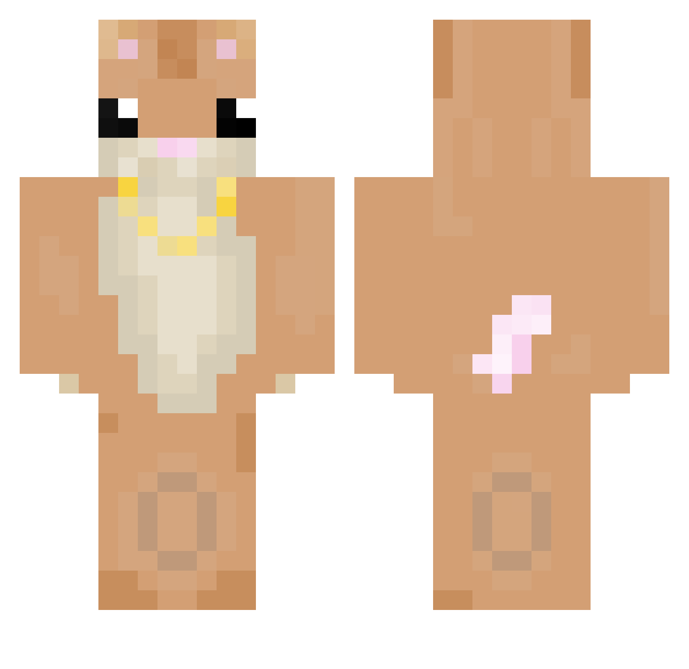 Vaquezio Minecraft skin, front and back view