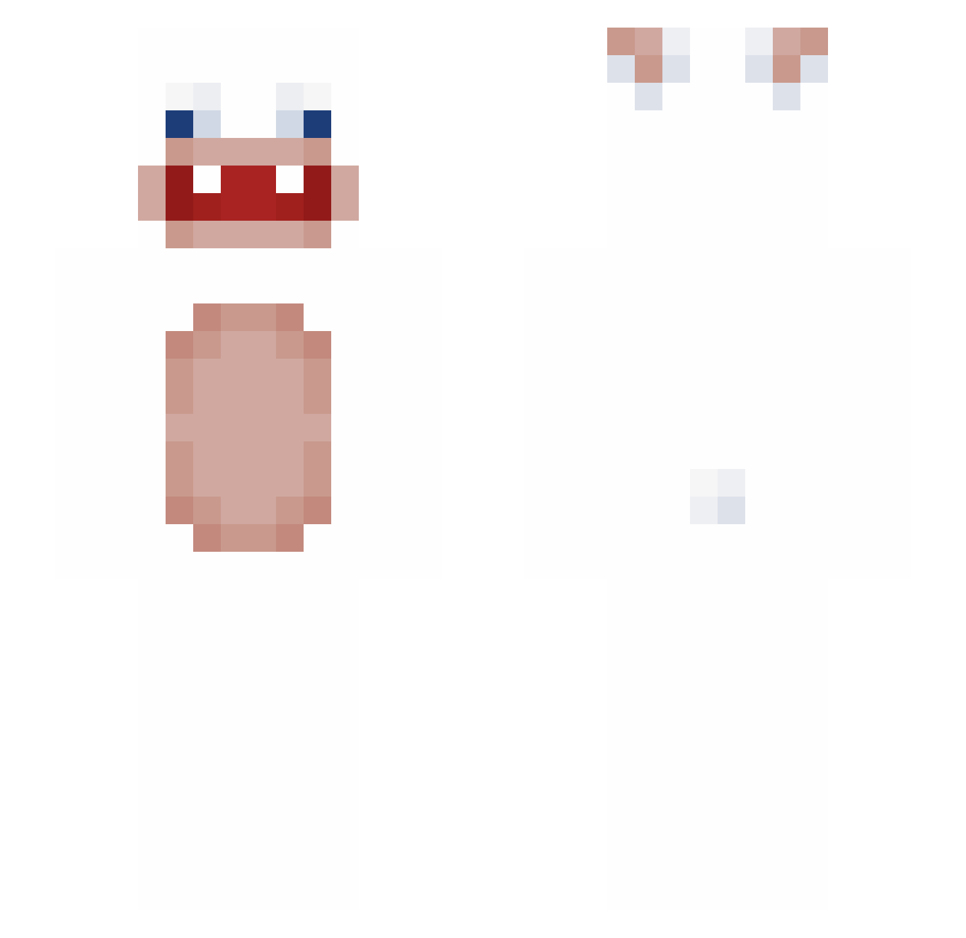 pptr1 Minecraft skin, front and back view
