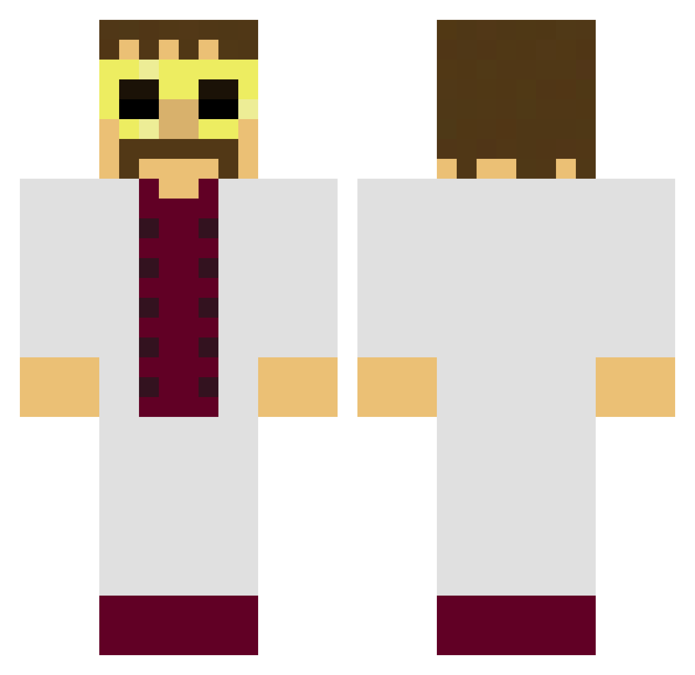 Aguaraguazu_ Minecraft skin, front and back view