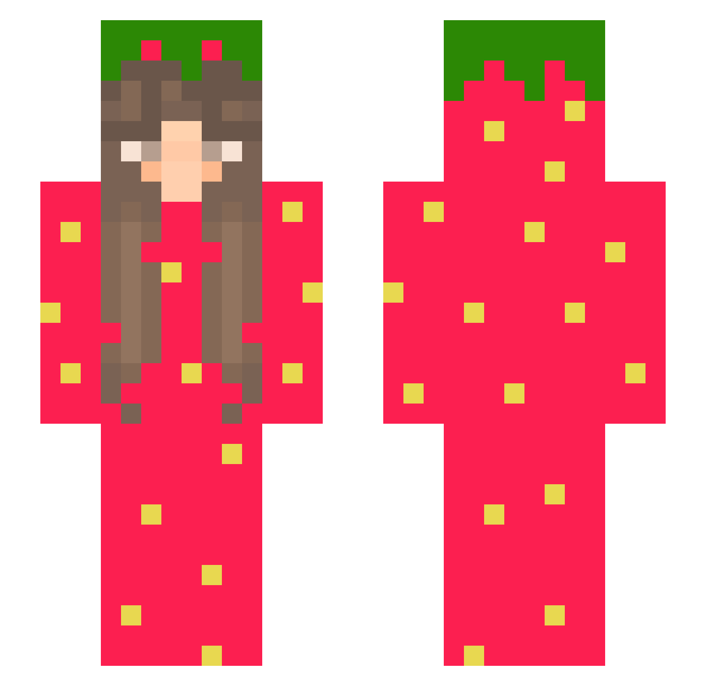 FreakyFred0509 Minecraft skin, front and back view