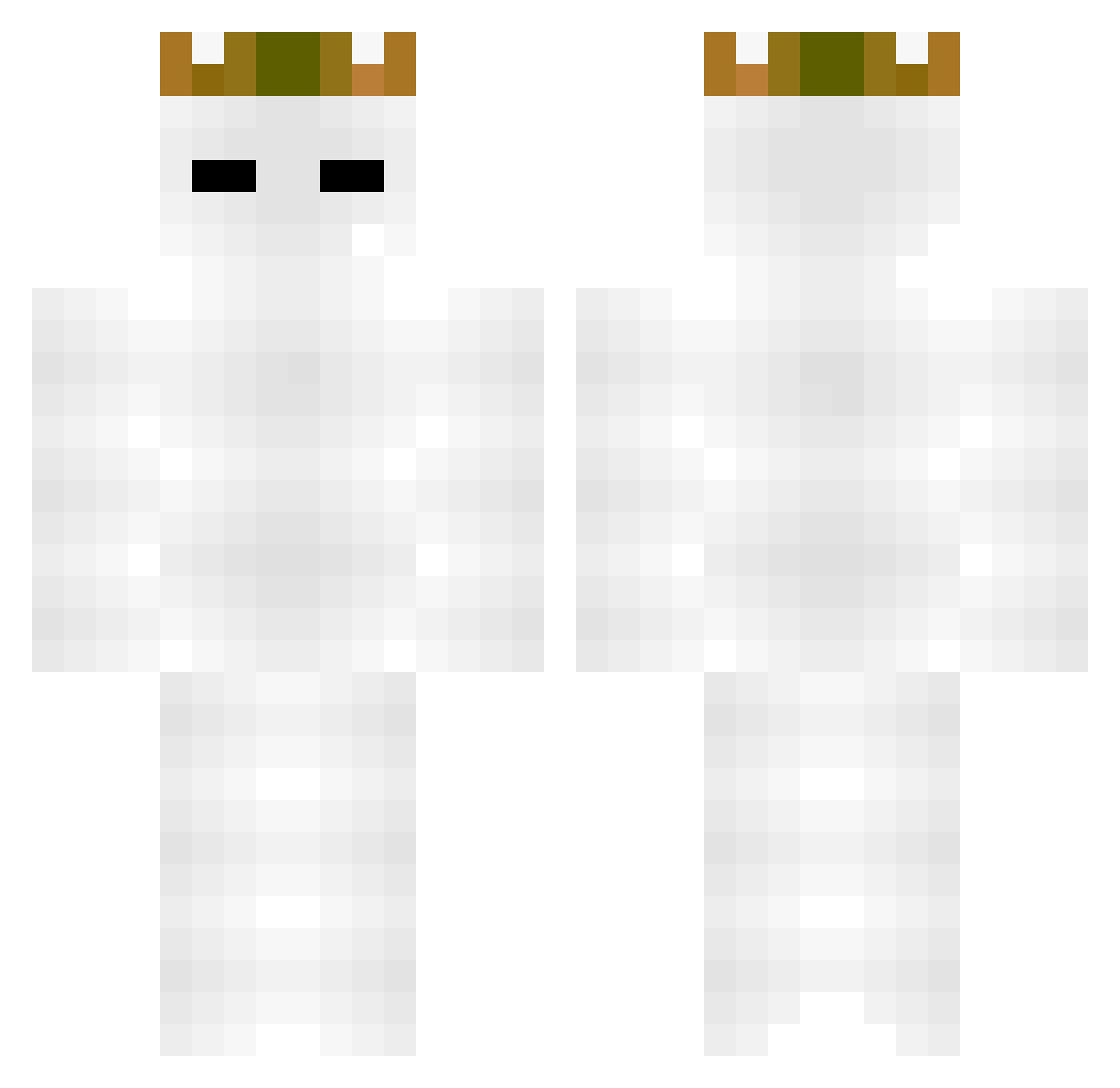 Sushilorax Minecraft skin, front and back view